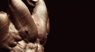 Картинка по теме - как развить силу в мышцах