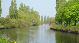 Картинка по теме - как решить задачу на скорость реки