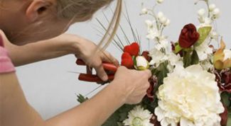 Картинка по теме - как продлить жизнь цветку