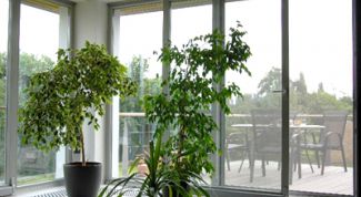 Картинка по теме - как разбить окно