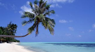 Картинка по теме - как продать тур