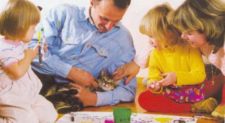 Картинка по теме - как получить землю молодой семье