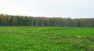 Картинка по теме - как продать землю в аренде