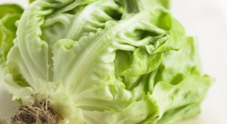 Картинка по теме - как сварить вкусные щи