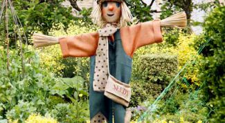 Картинка по теме - как сделать пугало для огорода