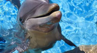 Картинка по теме - как сделать мир добрее