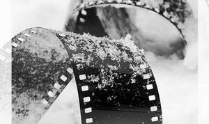 Картинка по теме - как сделать фото с негатива