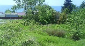 Картинка по теме - как переоформить землю