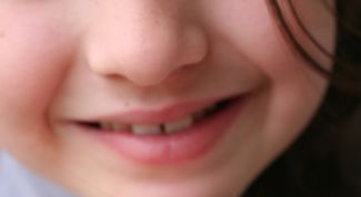 Картинка по теме - как развести дождевых червей