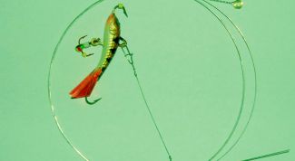 Картинка по теме - как сделать поводок из струны