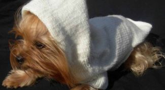 Картинка по теме - как сделать одежду для собак