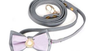 Картинка по теме - как сделать поводок для собаки