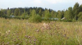 Картинка по теме - как сдать в аренду землю