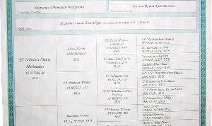 Картинка по теме - как сделать родословную для кошек