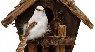 Картинка по теме - как сделать кормушку для птиц из дерева