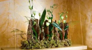 Картинка по теме - как сделать венецианскую штукатурку