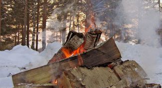 Картинка по теме - как развести костер зимой