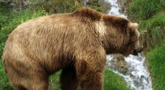 Картинка по теме - как сделать самолов