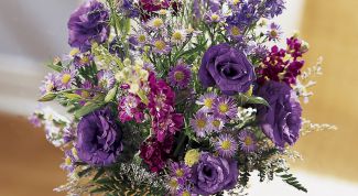 Картинка по теме - как сохранить срезанные цветы