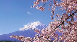 Картинка по теме - как говорить по-японски