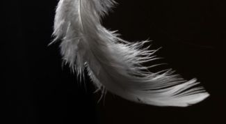 Картинка по теме - как сделать перья из бумаги