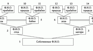 Картинка по теме - как сделать семейное дерево