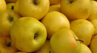 Картинка по теме - как сделать сидр