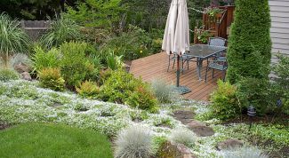 Картинка по теме - как разбить участок