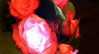 Картинка по теме - как сделать светящиеся цветы