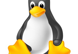 Картинка по теме - как установить linux на флешку
