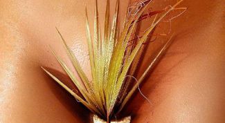 Картинка по теме - как сделать себе интимную прическу