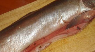 Картинка по теме - как солить кижуча