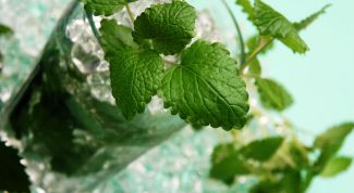 Картинка по теме - как делать безалкогольный мохито