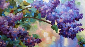 Картинка по теме - как рисовать сирень