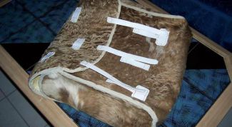 Картинка по теме - как выбрать ранец