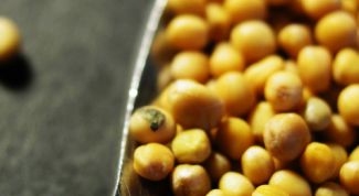 Картинка по теме - как заварить горчицу