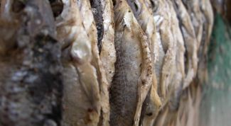 Картинка по теме - как завялить рыбу