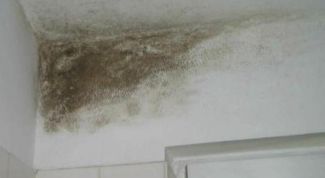 Картинка по теме - как устранить сырость