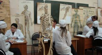 Картинка по теме - как сдать анатомию