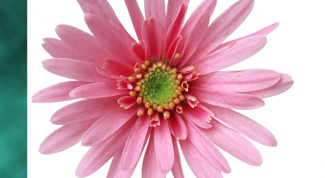 Картинка по теме - как сделать рамку в photoshop