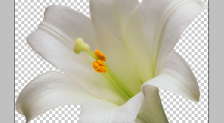 Картинка по теме - как сделать прозрачным задний фон