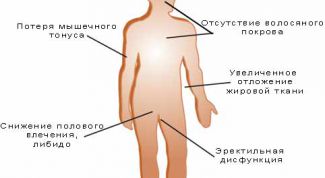 Картинка по теме - как выработать тестостерон