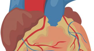 Картинка по теме - как лечить болезни сердца