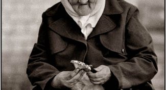 Картинка по теме - как получить статус ветерана