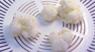 Картинка по теме - как сделать молочный гриб