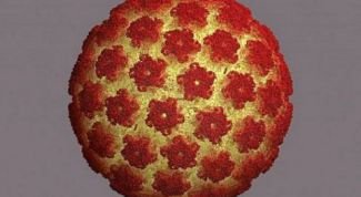 Картинка по теме - как лечить папилломавирусную инфекцию