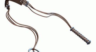 Картинка по теме - как сделать пращу