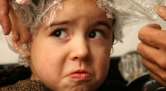 Картинка по теме - как уничтожить вши