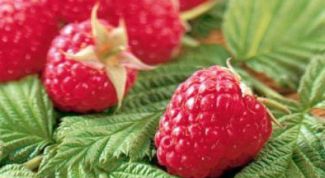 Картинка по теме - как избавиться от тромбов