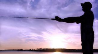 Картинка по теме - как ловить рипуса